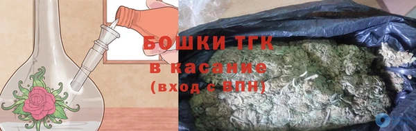 эйфоретик Арсеньев