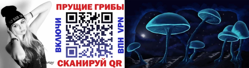 Галлюциногенные грибы GOLDEN TEACHER  продажа наркотиков  Бавлы 