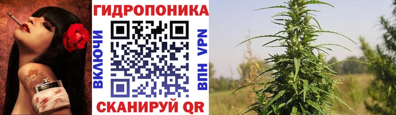 Канабис MAZAR  Бавлы 