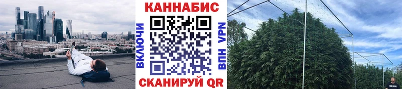 Каннабис Ganja Бавлы